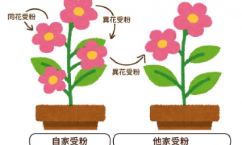萧山机场t3t4区别-【t3跟t4区别】t3t4和ft3ft4区别 - t3t4区别网