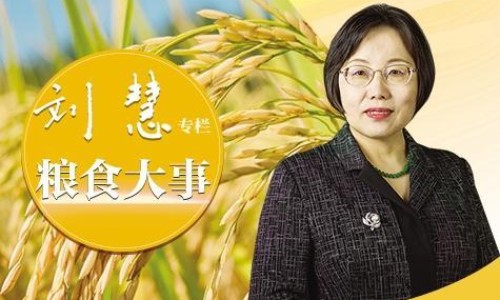 粮苦瓜的做法